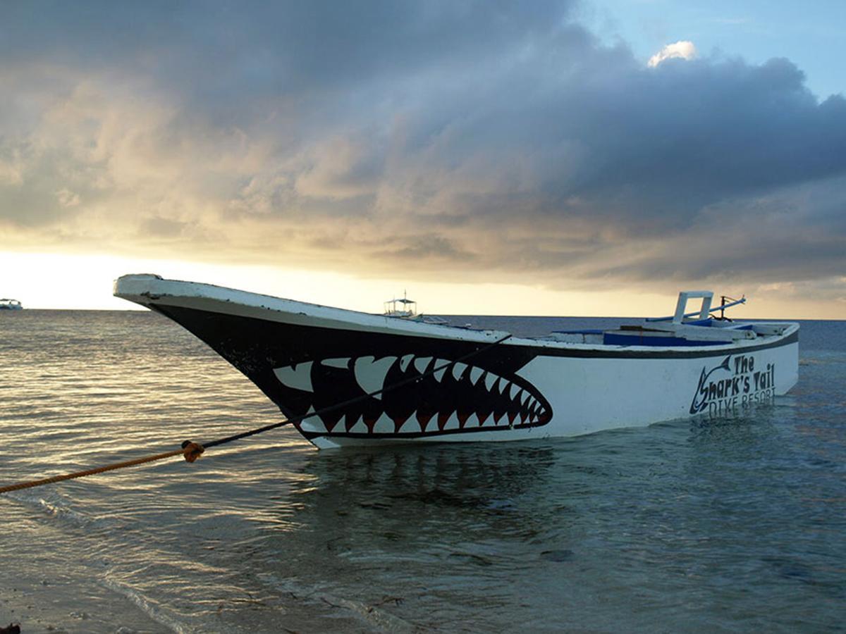 Hotel The Shark'S Tail Dive Center Daanbantayan Zewnętrze zdjęcie